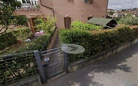 L'Olivo nel Chianti
